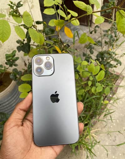Apple iPhone 13 Pro Max