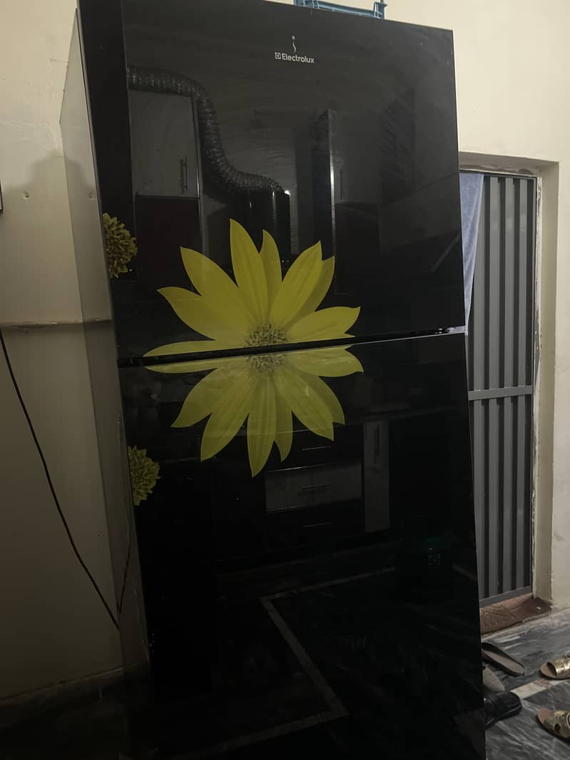 Refrigerator 0