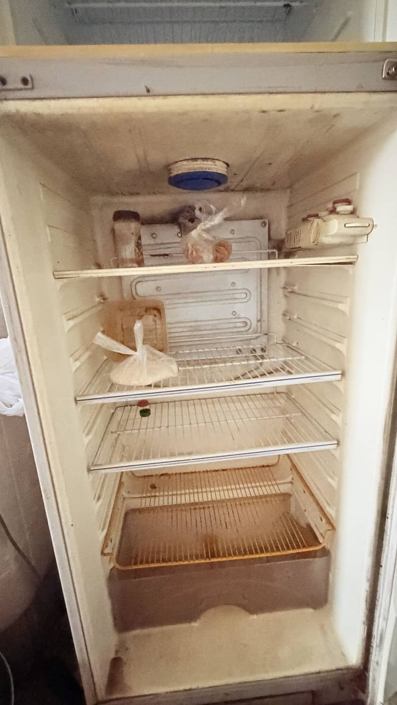 Fridge 5