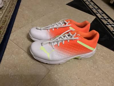 Puma men spikes (cricket) 22.2 model