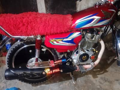 vip mantin bike hay