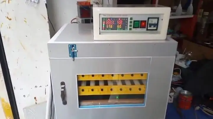 incubators brooders — photo 4