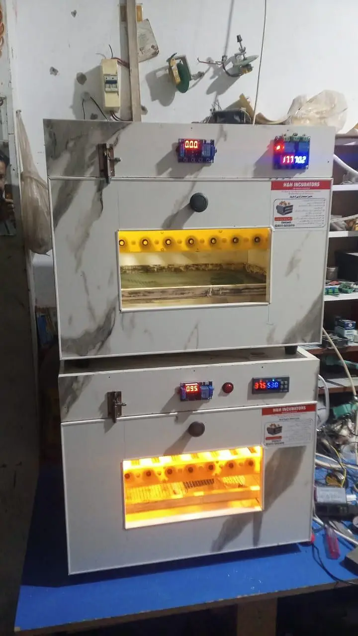 incubators brooders — photo 5