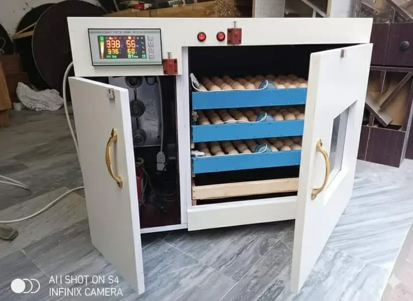 incubators brooders — photo 12