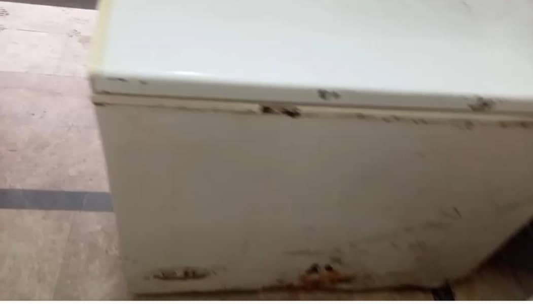 Freezer 0