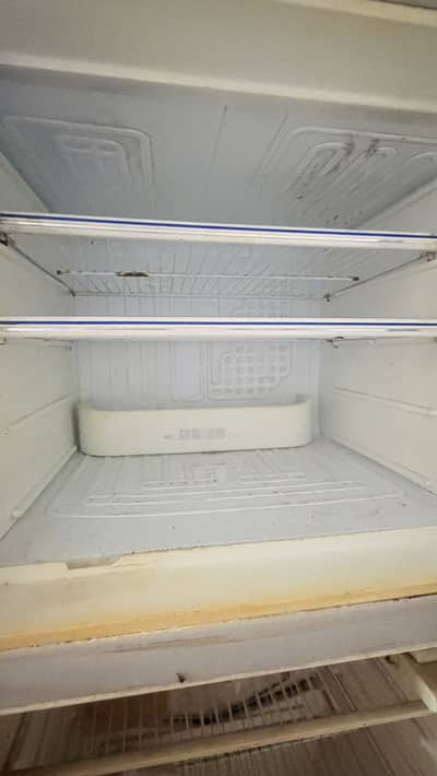 Fridge