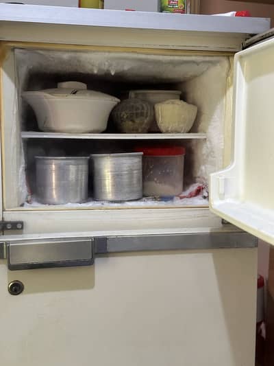Phillips refrigerator