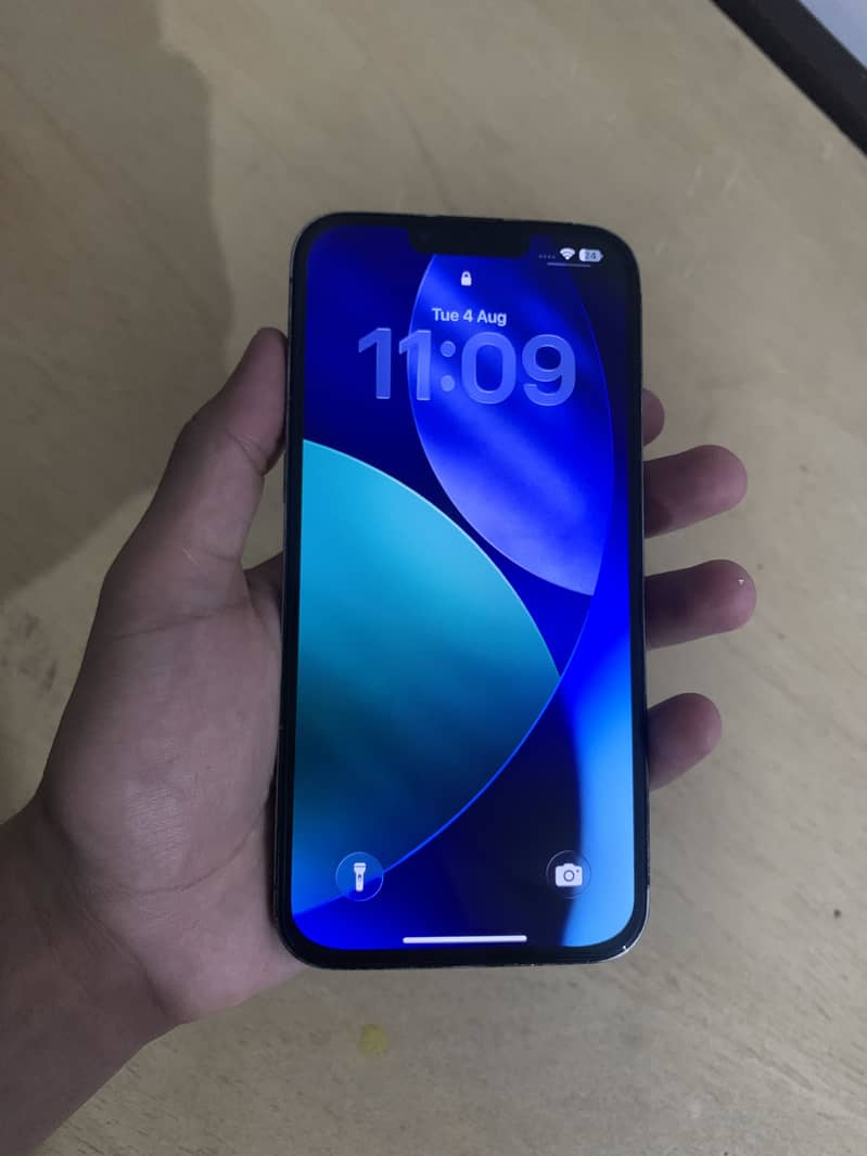 APPLE IPHONE 13 PRO MAX 1