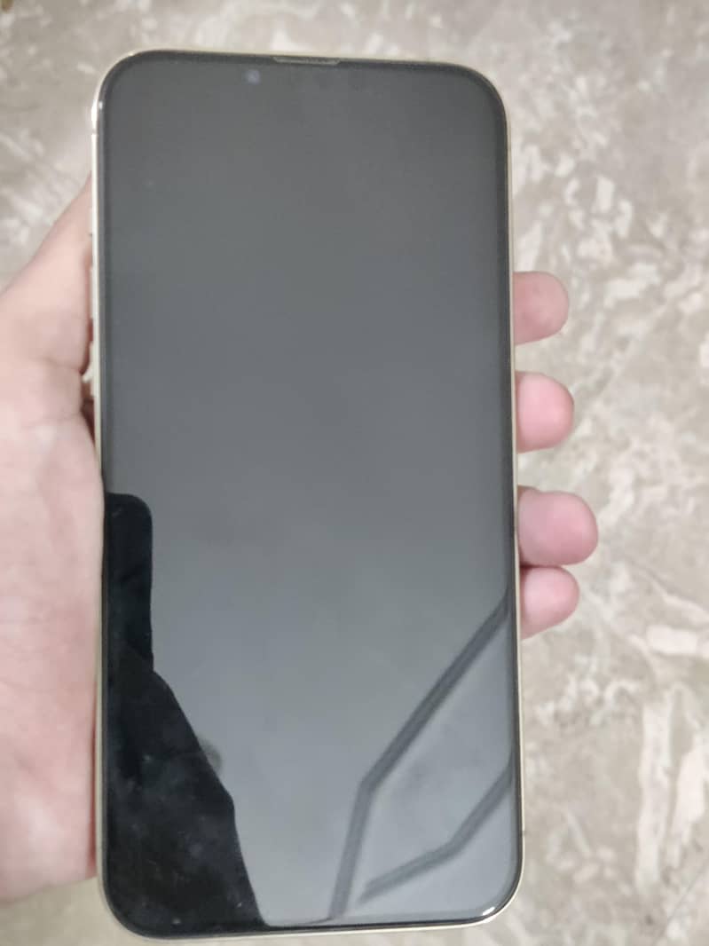Apple iPhone 13 Pro Max 0