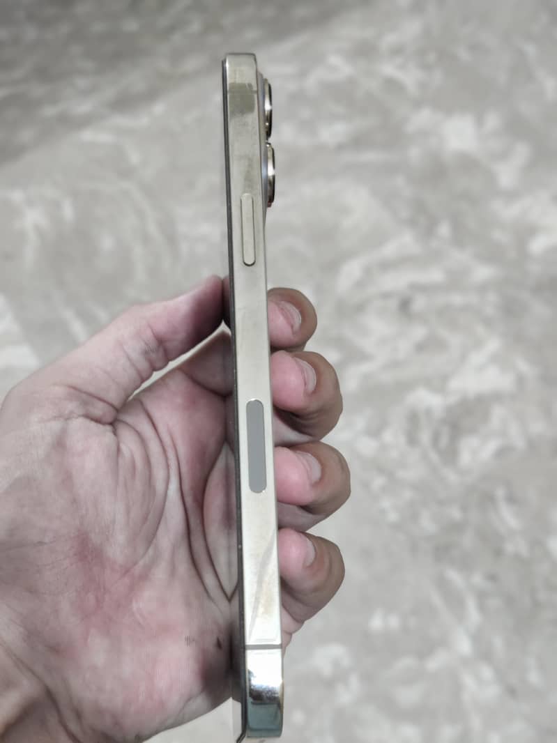 Apple iPhone 13 Pro Max 3
