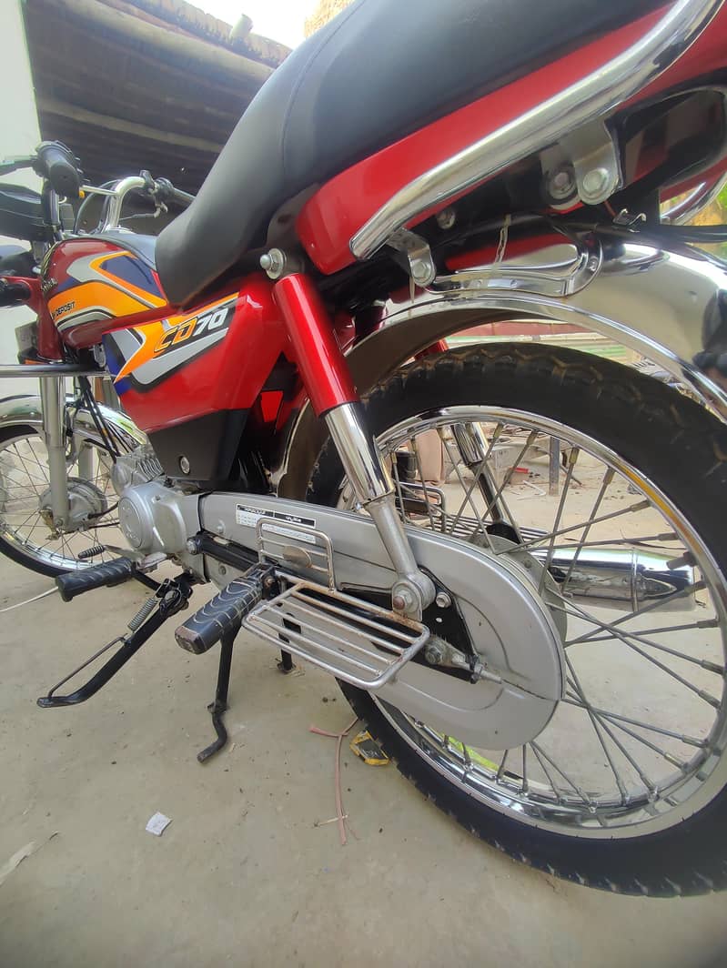 cd 70 red colour 24/25 4
