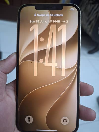 Apple iPhone 12 Pro Max