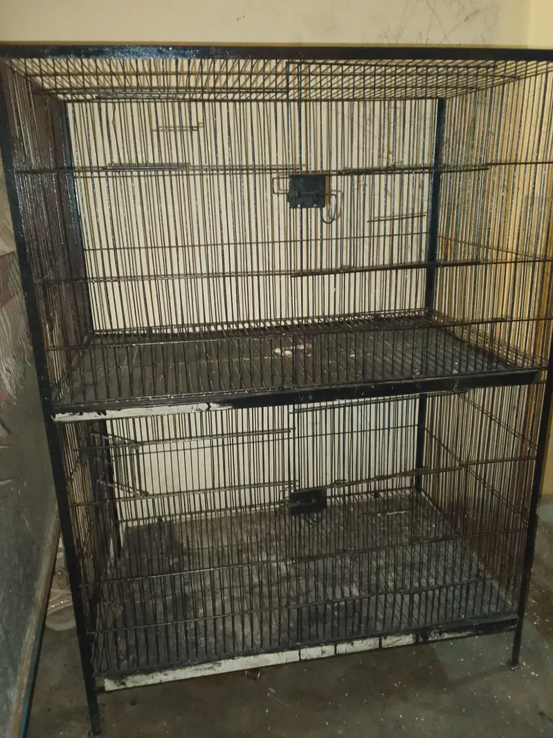 parrot cage size 2.5 feet chorai 3 feet lambai 0,3,0,2,1,1,4,9,4,5,9 — photo 2