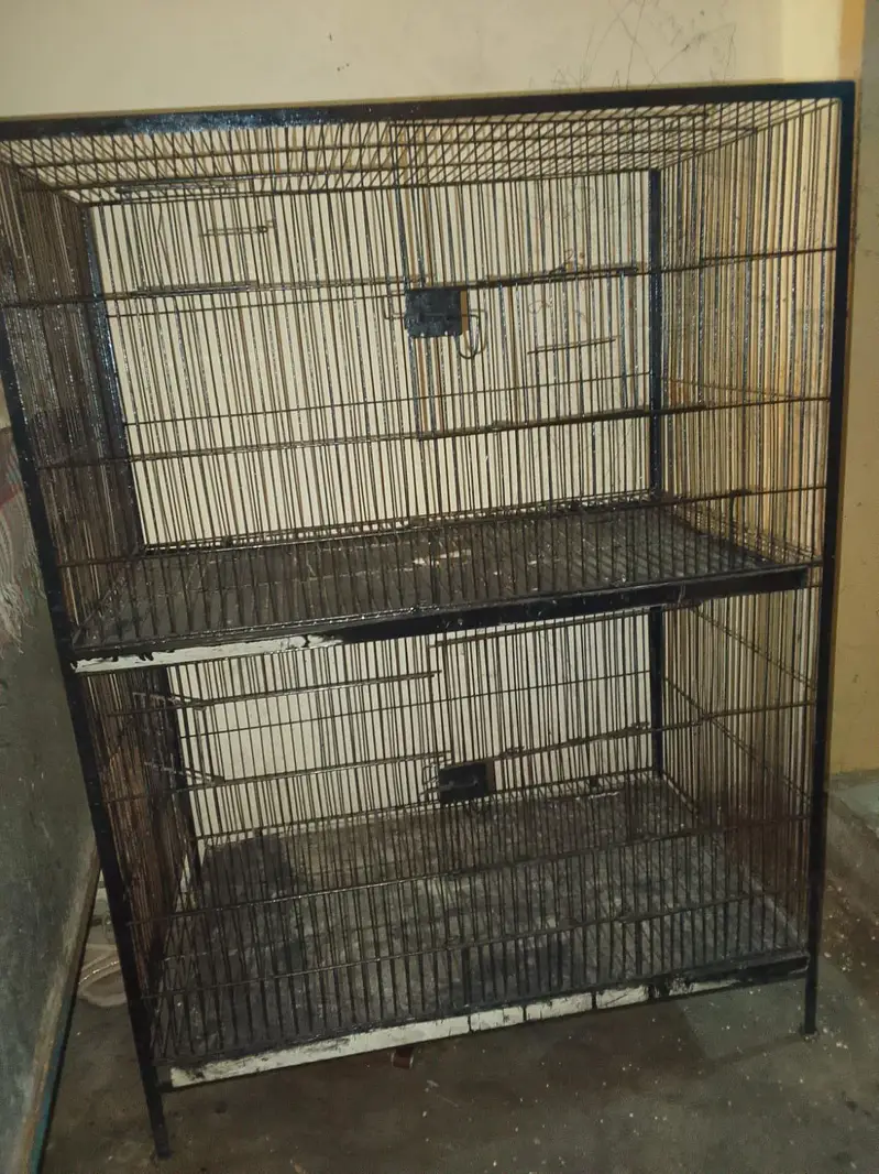 parrot cage size 2.5 feet chorai 3 feet lambai 0,3,0,2,1,1,4,9,4,5,9 — photo 3