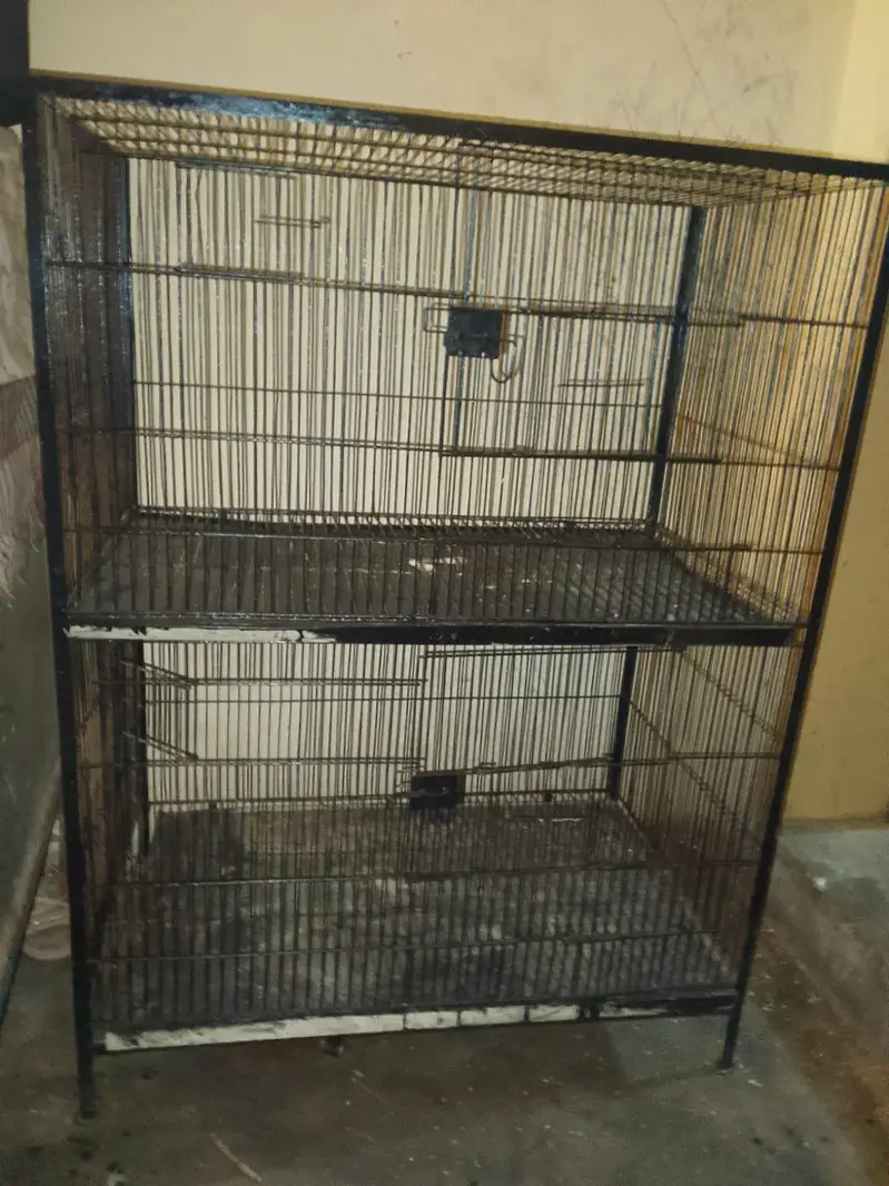 parrot cage size 2.5 feet chorai 3 feet lambai 0,3,0,2,1,1,4,9,4,5,9 — photo 4
