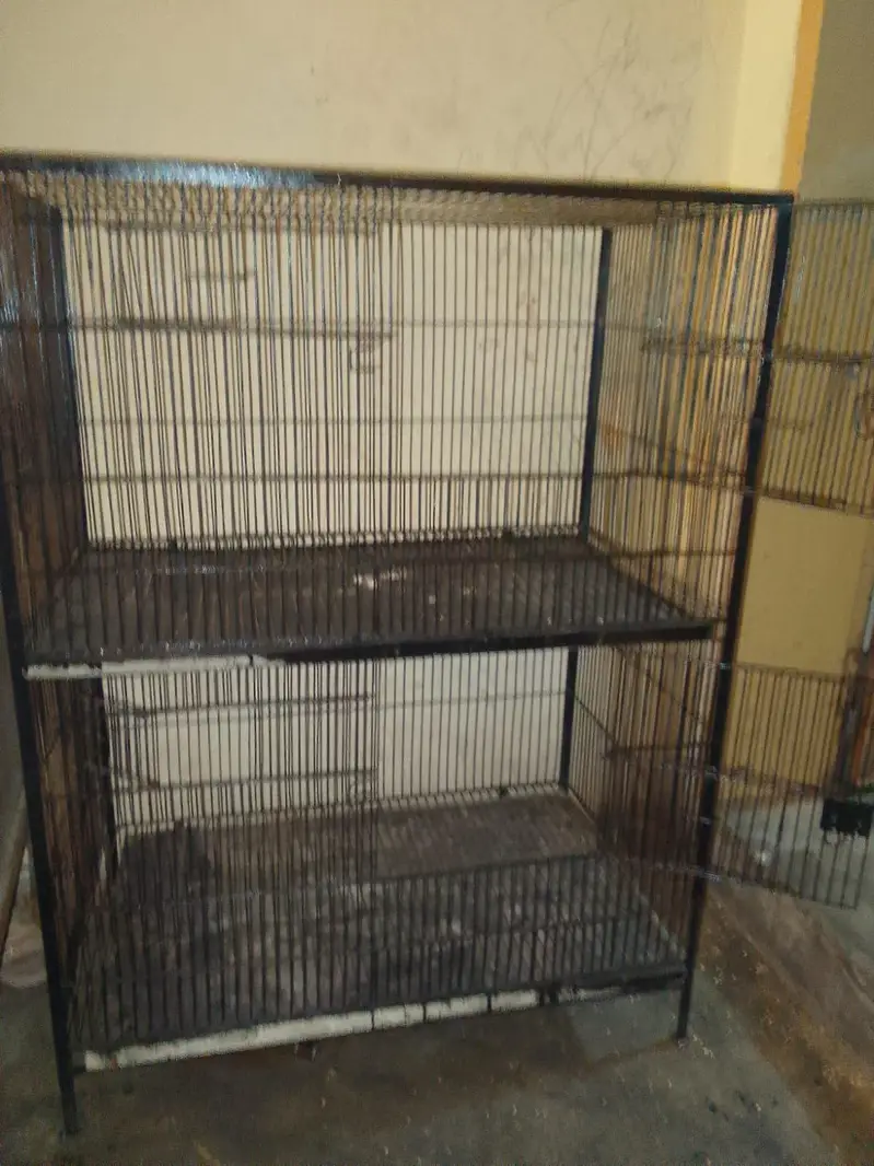 parrot cage size 2.5 feet chorai 3 feet lambai 0,3,0,2,1,1,4,9,4,5,9 — photo 5