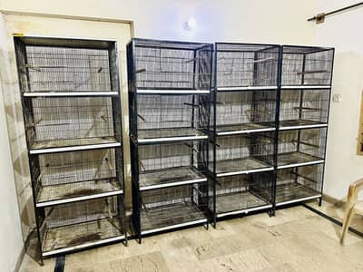 Full Angle Iron Cages