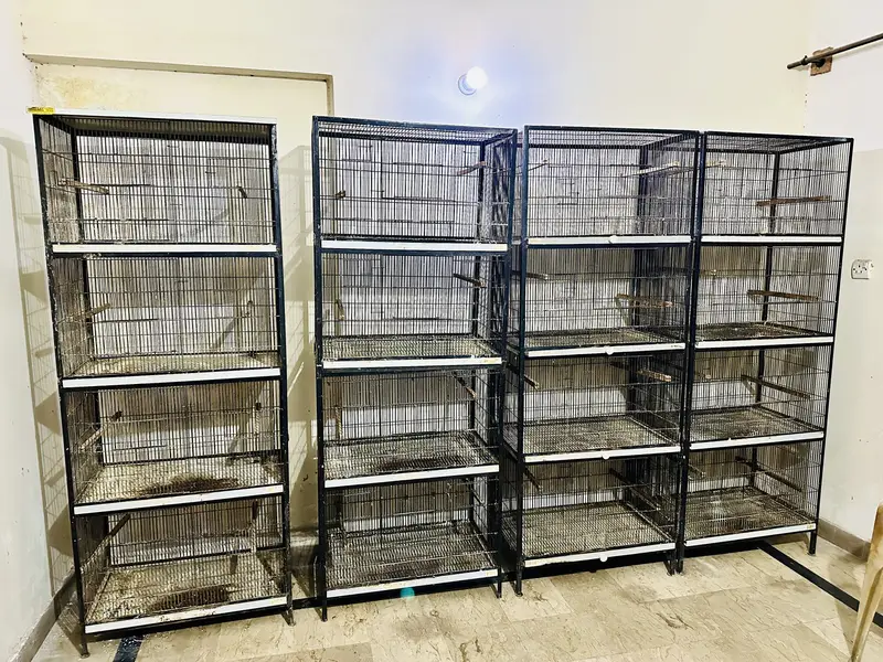 Full Angle Iron Cages — photo 2