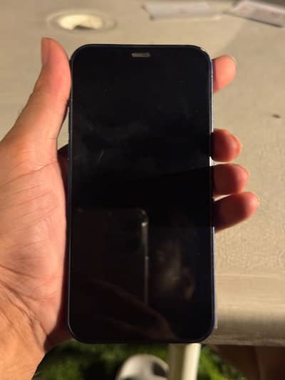 Apple iPhone 12