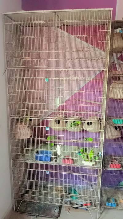 birds cage