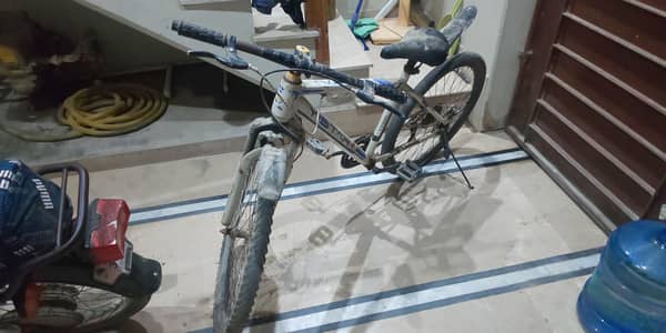Full Size Cycle