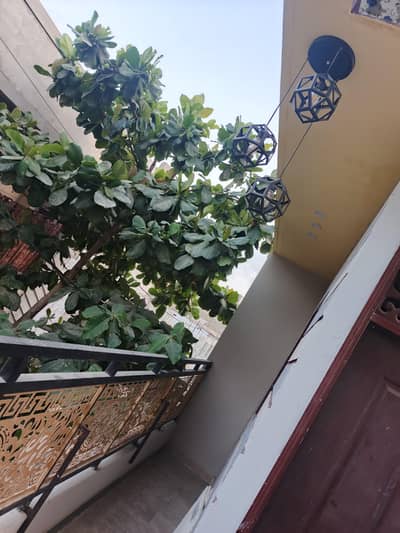 Ground+1 with roof House for sale in surjani town sector L-1