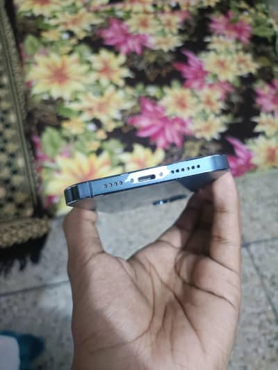 I phone 12 pro max all okay