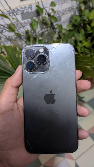 Apple iPhone 13 Pro Max