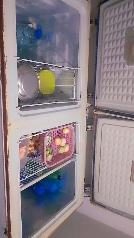 Deep freezer 1