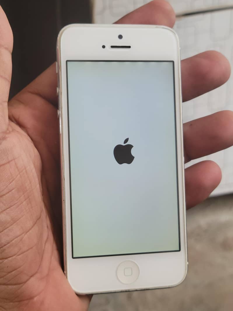 Apple iPhone 5s 1