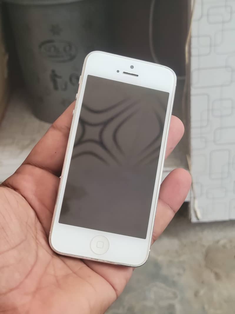 Apple iPhone 5s 2