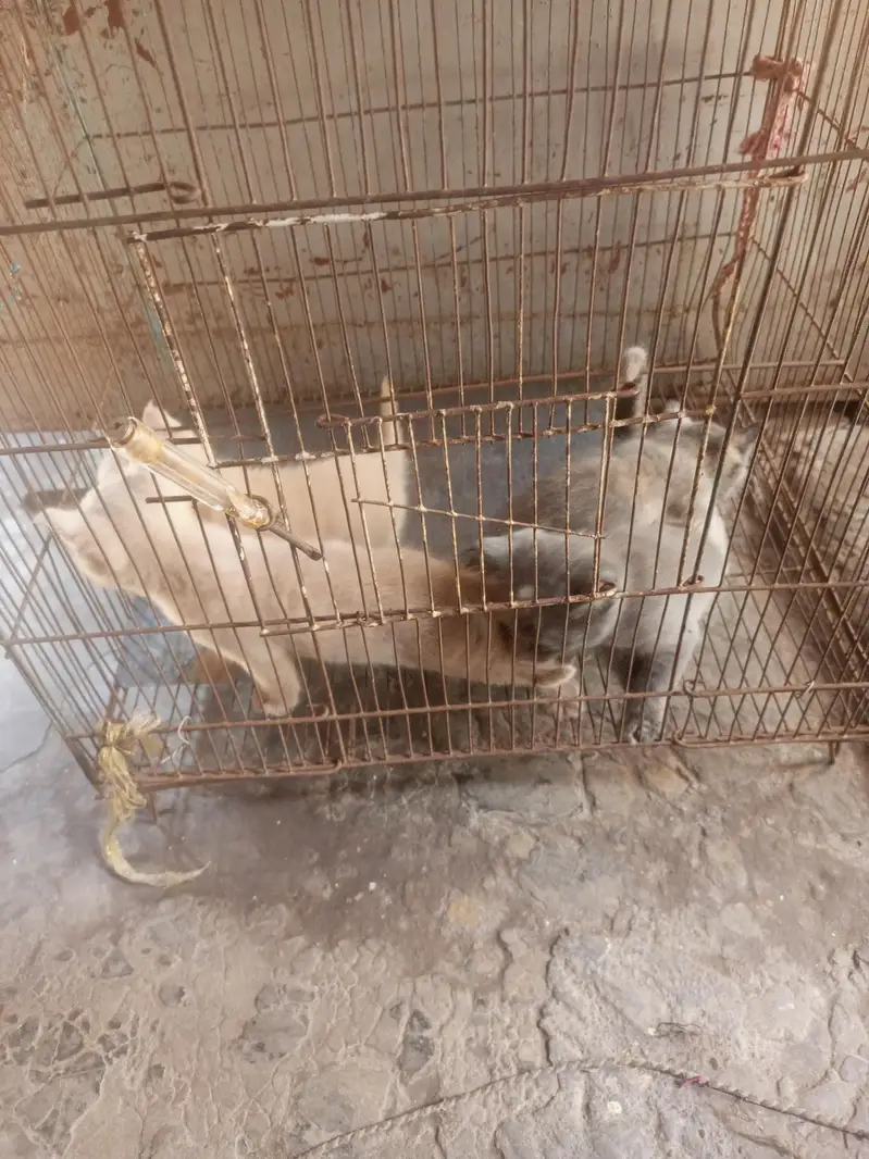 3 baby sale — photo 6