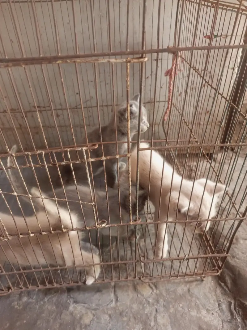 3 baby sale — photo 9