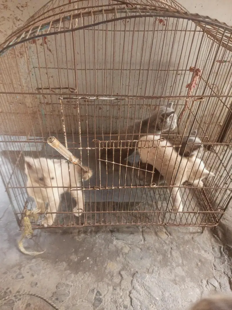 3 baby sale — photo 10