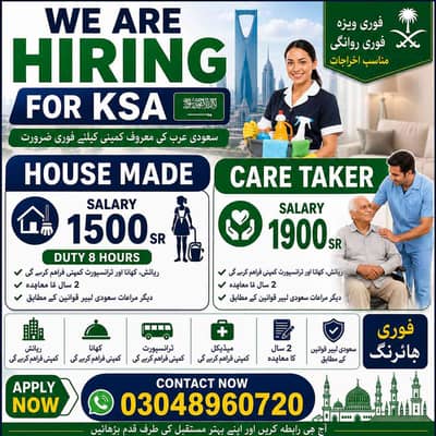 working Visa 