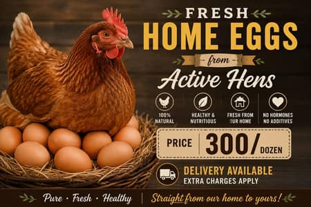 Desi eggs for sale 300/ dozen