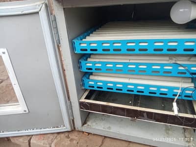 Incubator Eggs Hatchery