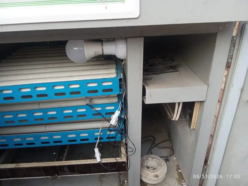 Incubator Eggs Hatchery — photo 2
