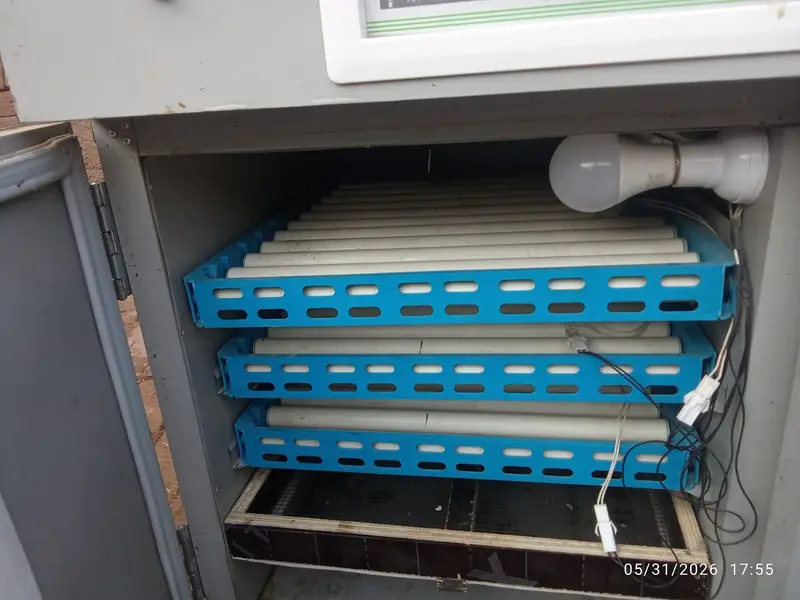 Incubator Eggs Hatchery — photo 3