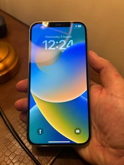 Apple iPhone 12 Pro Max