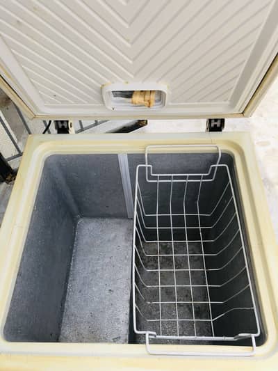 Waves ( Deep Freezer )