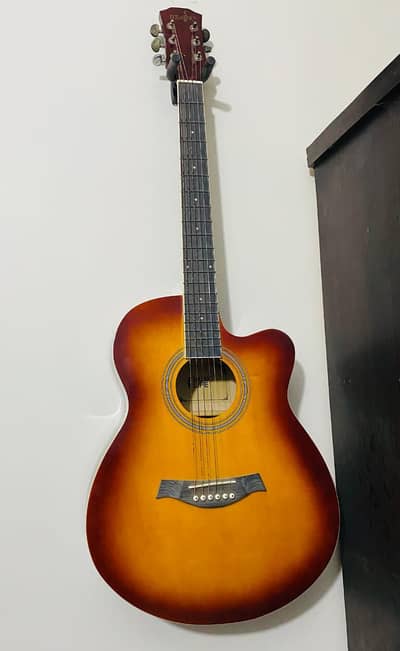 brand new acoustic guitar only few days used