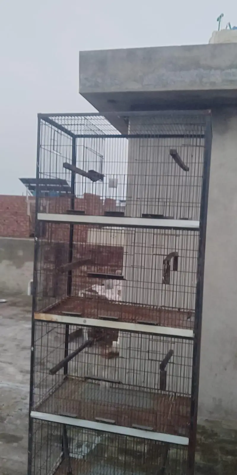 3 Lovebird cages, Iron cages, Tower cage — photo 2