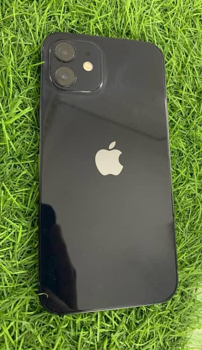 Iphone 11, Bypass