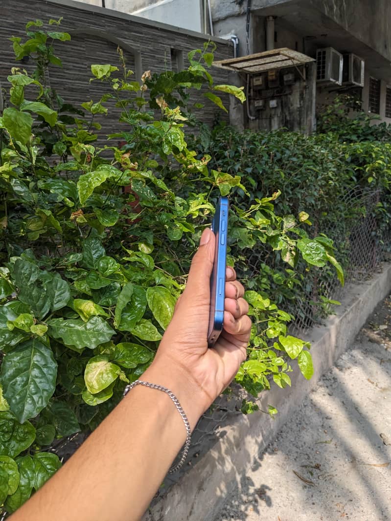 Apple iPhone 12 mini 1
