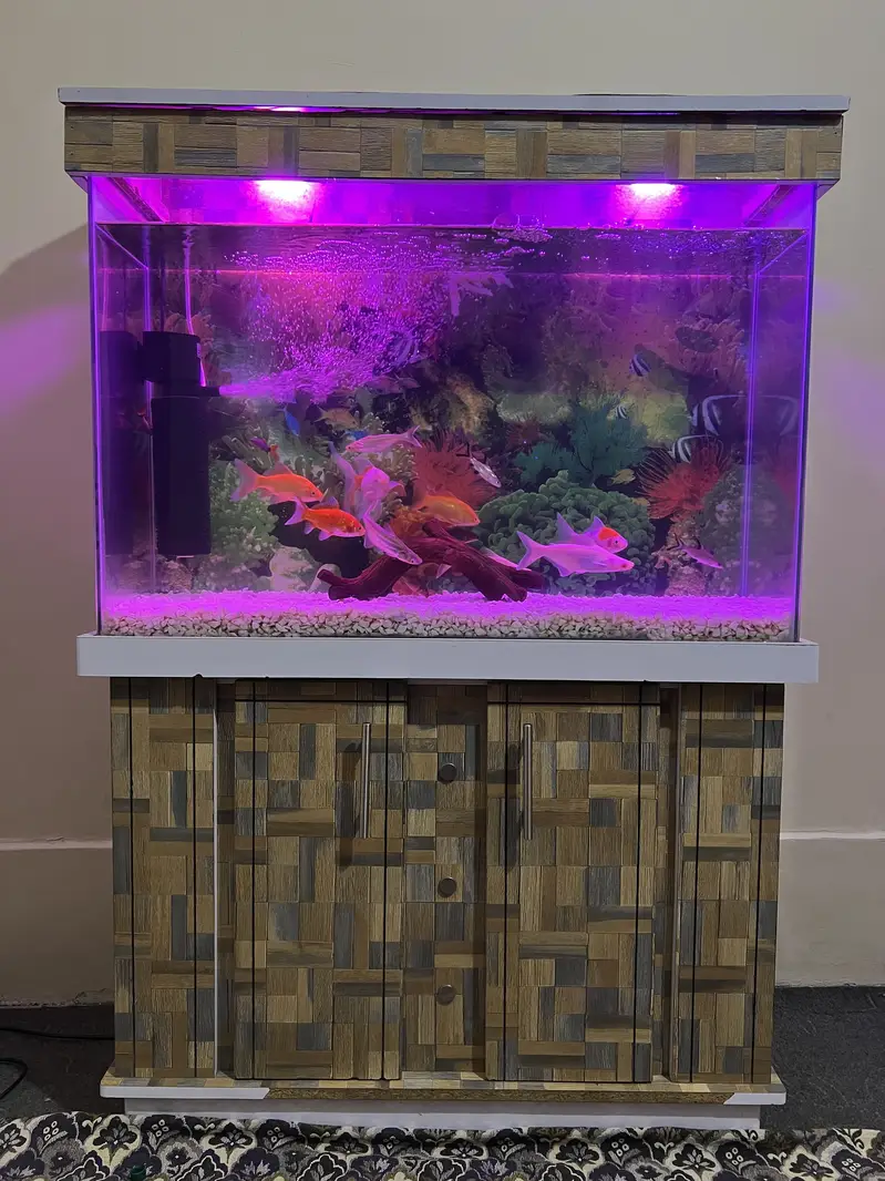 3 fit aquarium with fishes — photo 2