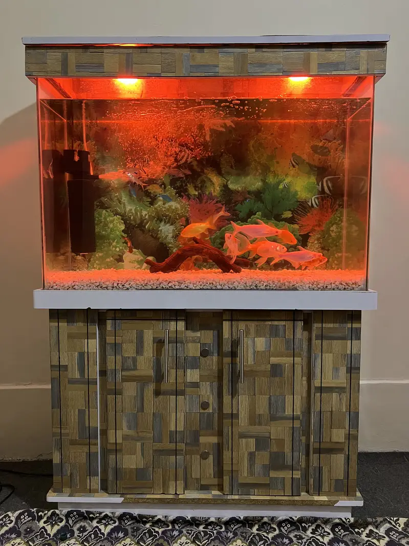 3 fit aquarium with fishes — photo 3