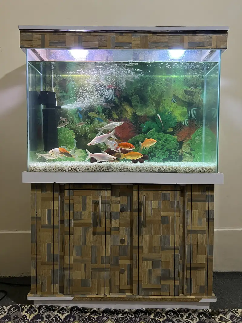 3 fit aquarium with fishes — photo 4