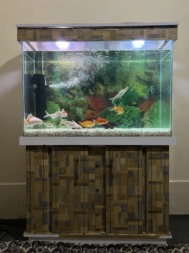 3 fit aquarium with fishes — photo 5