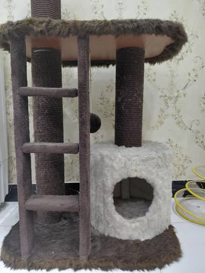 cat house and scrather